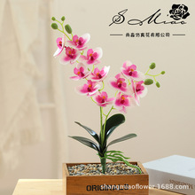 新款双叉12花胶片仿真蝴蝶兰花厂家直供创意假花室内装饰一件代发