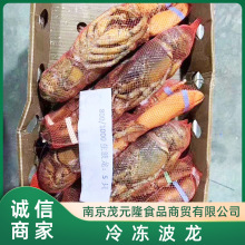 熟波龙 冷冻 波龙虾 波士顿龙虾 熟冻龙虾小龙虾 自助餐宴席