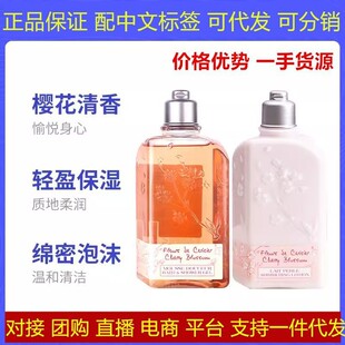 Body Milk Sakura Shower Gel Shower Milk Hydrating Moisturizing Autumn and Winter Long-Lasting Fragrance