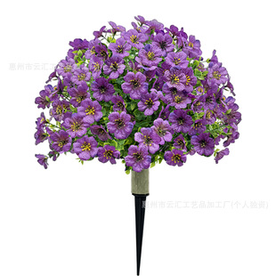 녅R�羳���R�d ��ɫ���_�m�ز�� ͥԺ�Ҿ��b� ���滨