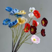 �Ų������� �������ڻ� ��c�廨�Ҿӿ͏d�[�O�b�Ʒ���ļٻ����l