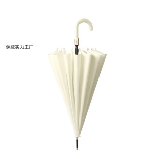 16-Rib Small Fresh Umbrella with Long Handle, Sunny and Rainy Umbrella, Enlarged Automatic Windproof Straight Umbrella, Double Craft Umbrella for Men and Women
