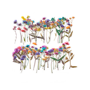 One-year Canopy with Branches and Baffles Embossed Plant Specimen Gel Dropping Mobile Phone Shell diy Material Embossed Dried Flowers Real Flowers