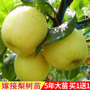 ������޽���������Sˮ���Ә��m���Ԯ���Y�������������