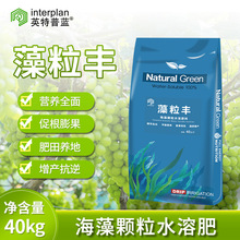 Ӣ�����{�����S����ֲ��ˮ�ܷ��Ϻ����w�����������L���a���|�r��