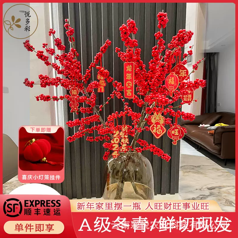 北美冬青  A级红果真花鲜枝春节年宵花室内水培鲜花云南基地直发