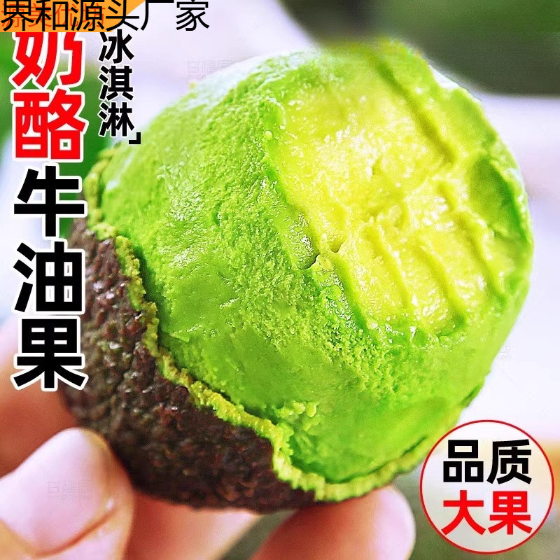 Peruvian Hass Avocados 15 Fresh Fruits Seasonal Whole Box Free Shipping First-Class Avocado Food Supplement Cream