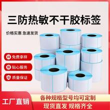 ���������������z�˺���ӡ���l�a60 50 40 30�˺��N����ӷQE�]��