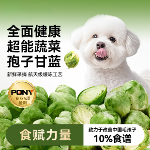 Dog Snacks Fruit and Vegetable Freeze-Dried Spores Cabbage Fruit and Vegetable Freeze-Dried Fruit and Vegetable Crisps 50g Mixed with Dog Food Pet Food