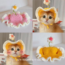 �羳���u����؈��ñ�Ӵ��ﻨ���ɐ��^�׹����^��ֹ������b�Ʒ