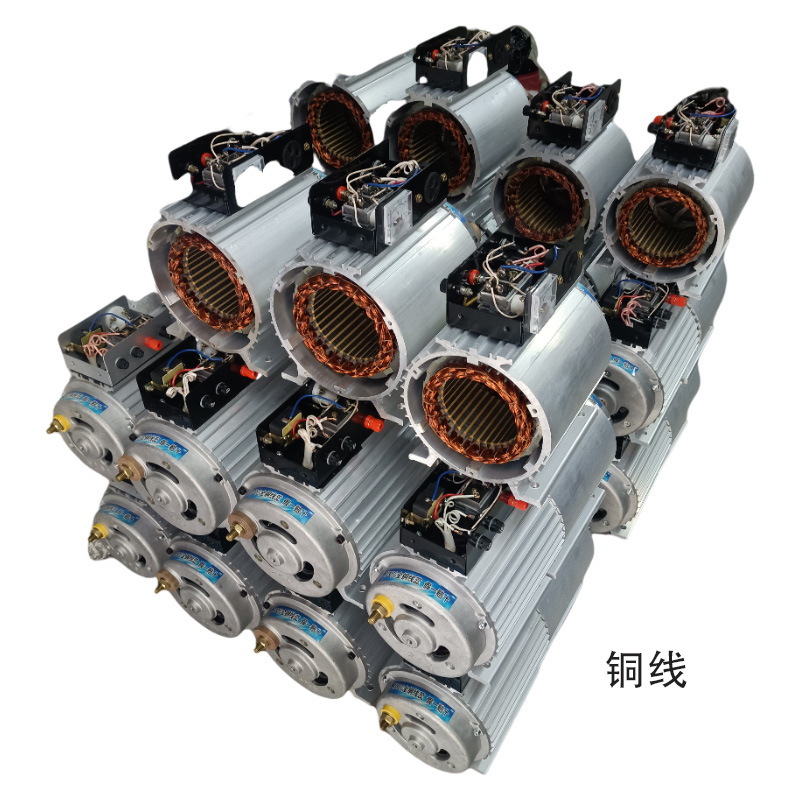 Factory In-Stock Generator 220V Dc Brushless Small Permanent Magnet Dual-Purpose Generator Outdoor Portable Generator