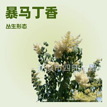 �½����ɸ��C���ą����׶��� ���R���� ���С��a�ؼ��ֺ�����