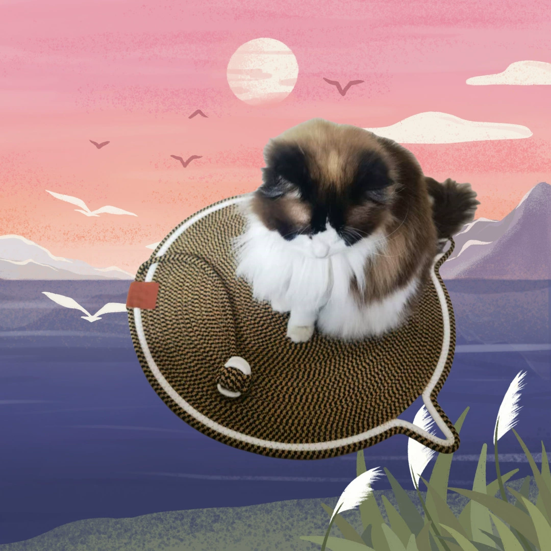 Тканый коврик для кошек из хлопчатобумажной веревки, универсальный коврик для игр и сна, износостойкое и нелиняющее кошачье гнездо, универсальный коврик для кошек на все времена года.