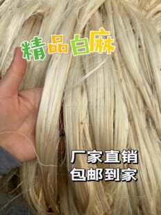 ����Т�����KƤ����Ƥ����ֲ��Ƥ�����Т����ˮů�ܼ����ܷ����l
