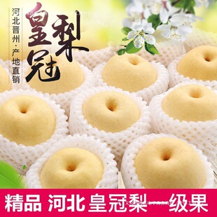 �ӱ��ʹ���10����]�������rˮ������5�ﮔ��ѩ��3��ǴXɽ������