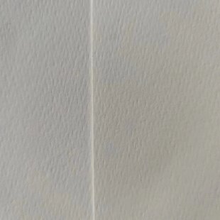 ˮ���޼�100%ȫ�޼��޼�300GSMˮ�ʮ�ˮī���طNˇ�g��