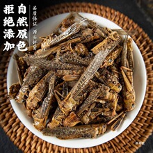 Ұ��Λ�Ƹ� ��ɵ��ȸɻ��x������ɲ�����Bʳ�����؛��؛