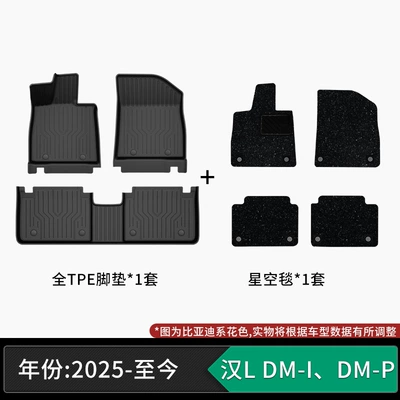 Modelə uyğun ayaqaltı | craftsmanship, eco-friendly material, zero - 25-models-of-byd-han-l-dm-i-dm-p-tpe-floor-mats-starry-sky-carpet