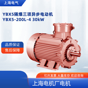 �Ϻ�늙C�S���ؙC��YBX5����늙C���ஐ��늙C30kW 380v 4�O ��ʽ
