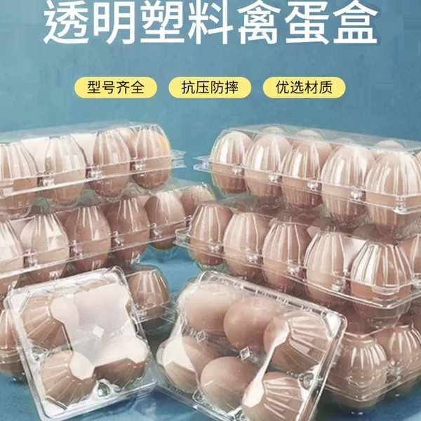 Plastic egg holder disposable blister transparent egg picnic basket box multi-specification egg packaging box egg shockproof