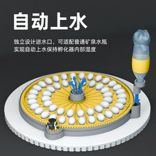 高端孵化器小型家用全自动孵化机小鸡鹦鹉孵蛋器鸟蛋芦丁鸡孵化箱