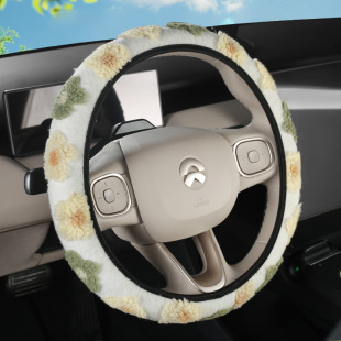 �羳2025�ﶬ��Ʒ��ë�q��܇����P������С���o��Ȧ����С܇ͨ��