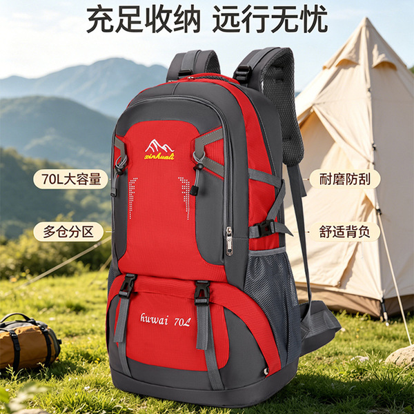 capacious backpack for traveling