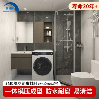室内一体式卫生间整体淋浴房家用成品浴室移动沐浴间集成卫浴厕所