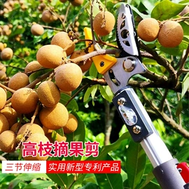 修枝剪;其他园林工具