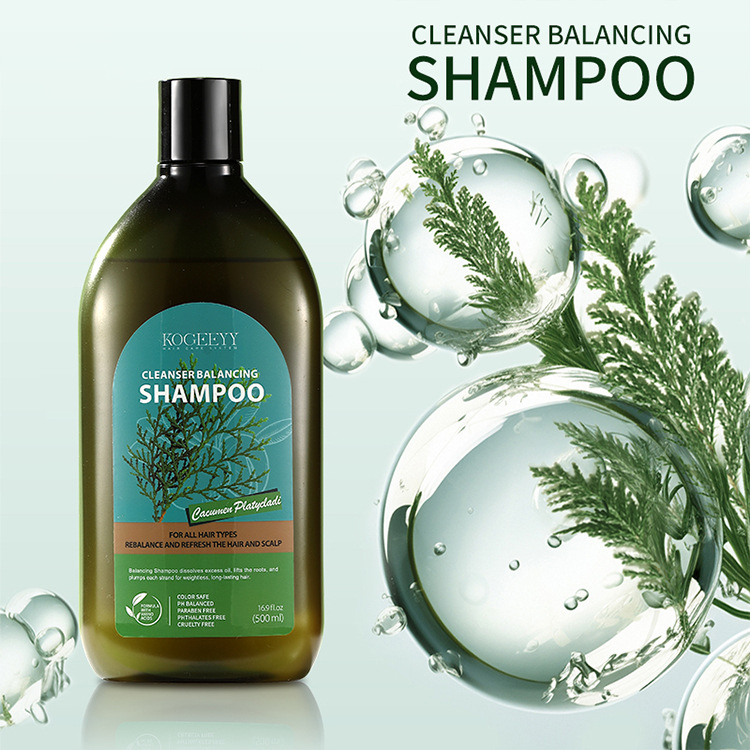KOGEEYY Cross-border Exclusive Platycladus orientalis Leaf Oil-Control Shampoo, Plant-based Anti-dandruff and Anti-itch Shampoo 500ml Specification drawing