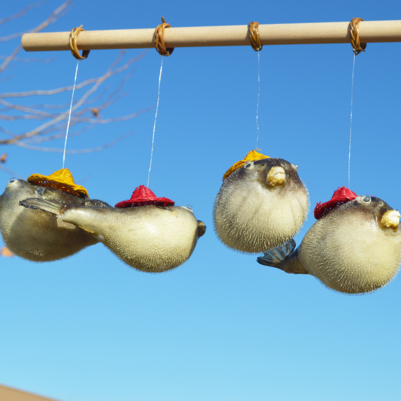 Pufferfish Specimen, Blowfish, Strawhat Fish, Car Pendant, Student Teaching Aids, Hotel Gift, Marine Aquarium Mini