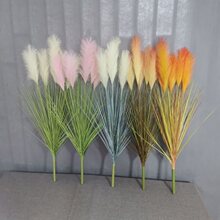 ���W���^�JȔ��90�����FƤͰ�JȔ���b�Gֲ���͏d�[��ëë����