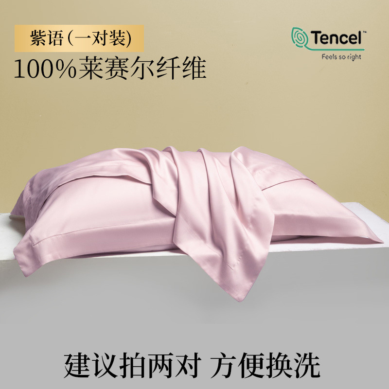 Funda de almohada de verano Tensi Funda de almohada de seda Un par de fundas de almohada de seda de hielo 48cmx74cm2024 Nuevo 2
