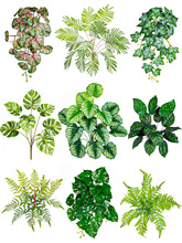 ާֲ٘~ӾGɫᎧGֲϻ쾰