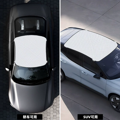 car snow cover, front windshield: Car snow shield