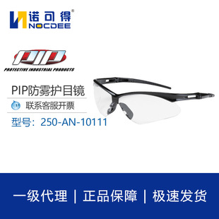 PIP�oĿ�R���Lɳ���҉m���F�T�з��w�R��ĥ���o���R250-AN-10111