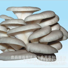 Ģ������ʳ�þ� ����ƽ��������������Ʒ�N Ģ���������N���A����