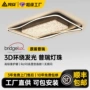 中山意式客厅大厅吸顶灯