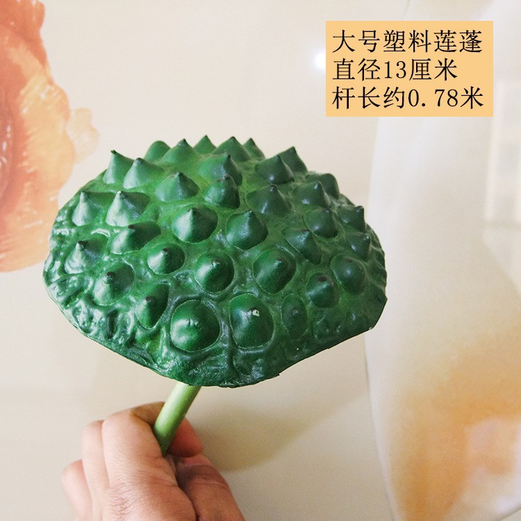 막대가있는 큰 연꽃 냄비