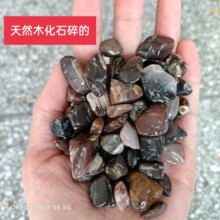 供应天然木化石碎石供佛摆件碎石鱼缸花盆装修装饰碎石