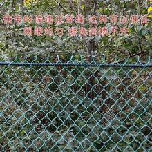 �O�W������W̧�W�W������B�~�W���B�W�B�u�W�WƬ����ϩȫ����