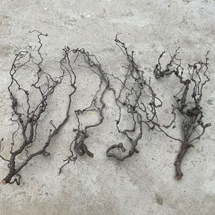 �ɘ�֦��ͥ�b� һ��һ�� ������[���廨��֦ɽˮ���Ϳ͏d