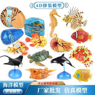 4D���wƴ�bģ�ͷ��溣�����������~�W�^��С���~��������[��