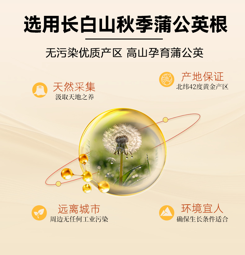 Dandelion Root Tea 250g Roasted Loose Root for Daily Herbal Wellness key features