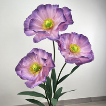 �����˴�ˇ���b���������̈��b�ˇ��Ӳ��þ��ͷ��漈��