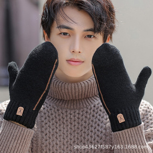Finger gloves for men in autumn and winter, velvet, thickened, warm cotton wool mittens for cycling, windproof and cold-proof, student trend