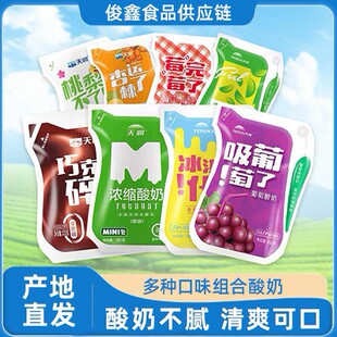 New Date Xinjiang Tianrun Yogurt Full-Fat Flavored Fermented Milk 180g*12 Bags Low-Temperature Milk Whole Box Xinjiang