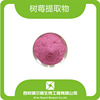 Raspberry powder 99% spray drying Raspberry extract Raspberry juice powder Raspberry powder SC Manufactor