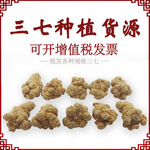 产地批发三七20头30头田七云南三七头三七粉中药材云南文山三七粉