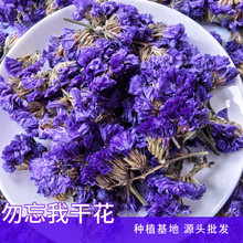 云南勿忘花 装饰用香薰农产品散装批发蓝色勿忘我花朵